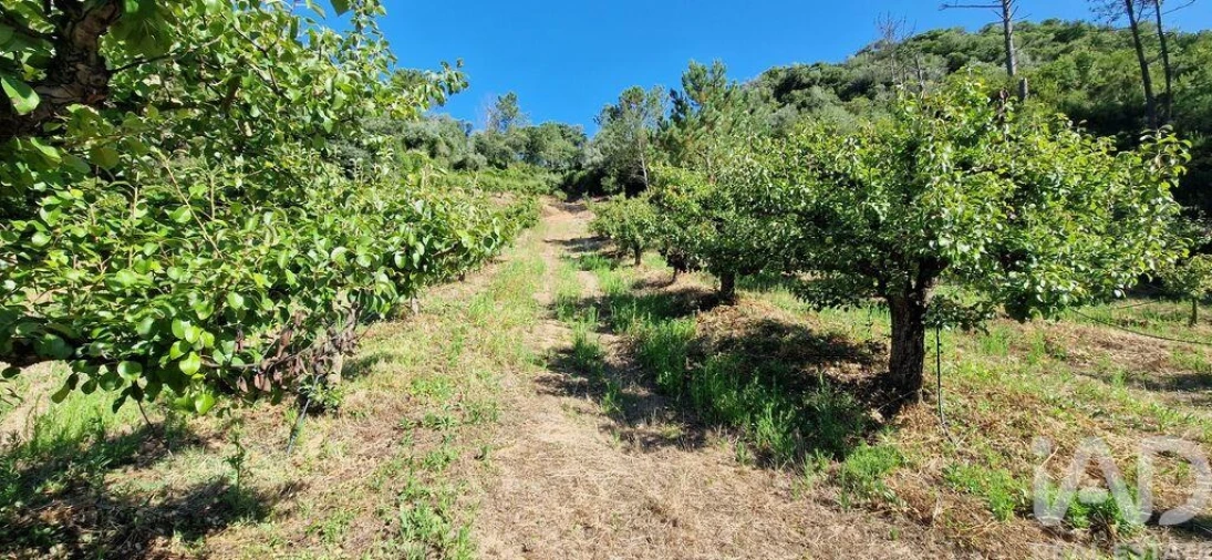 Terreno para Venda em Azueira e Sobral da Abelheira Foto 21