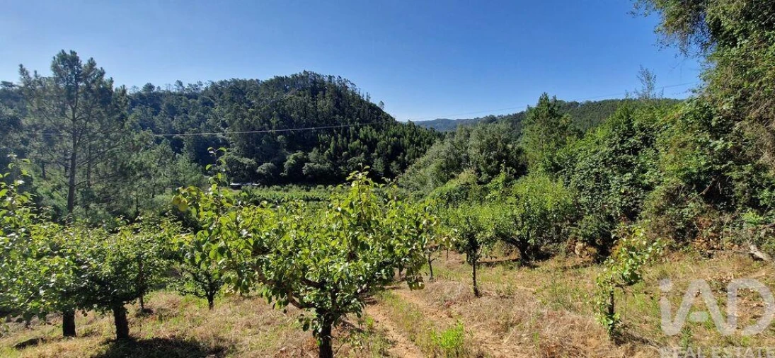 Terreno para Venda em Azueira e Sobral da Abelheira Foto 8
