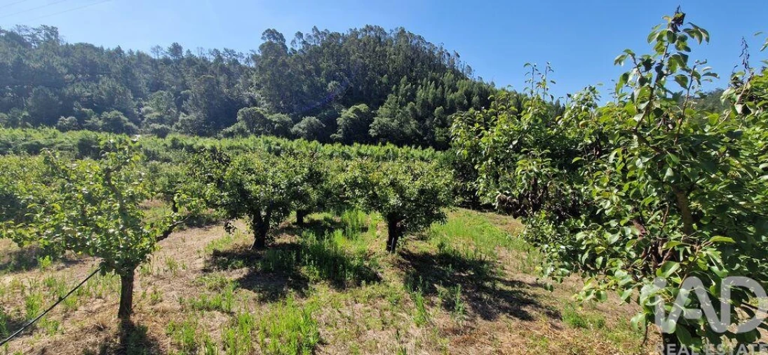 Terreno para Venda em Azueira e Sobral da Abelheira Foto 2