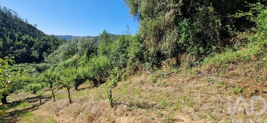 Terreno para Venda em Azueira e Sobral da Abelheira Foto 7