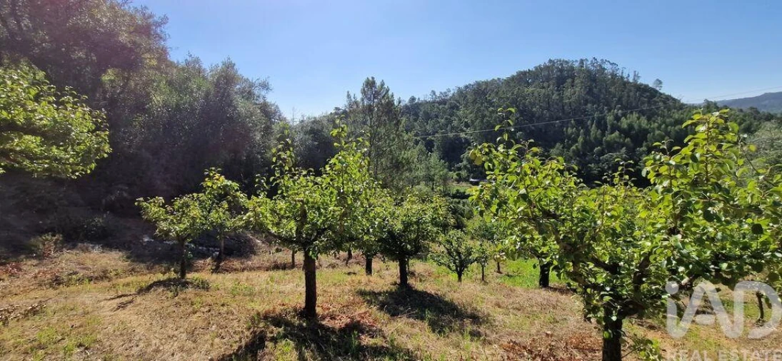 Terreno para Venda em Azueira e Sobral da Abelheira Foto 10
