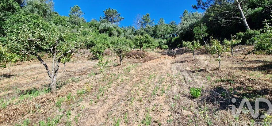 Terreno para Venda em Azueira e Sobral da Abelheira Foto 16