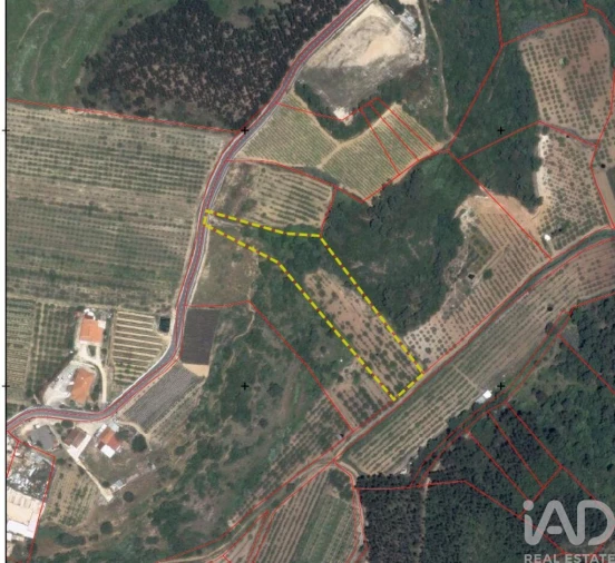 Terreno para Venda em Azueira e Sobral da Abelheira Foto 28
