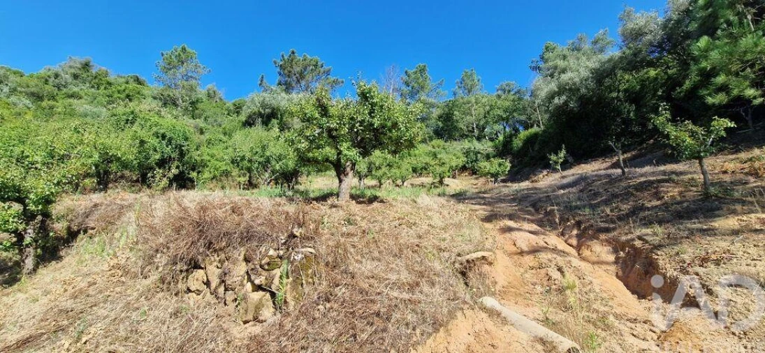 Terreno para Venda em Azueira e Sobral da Abelheira Foto 14