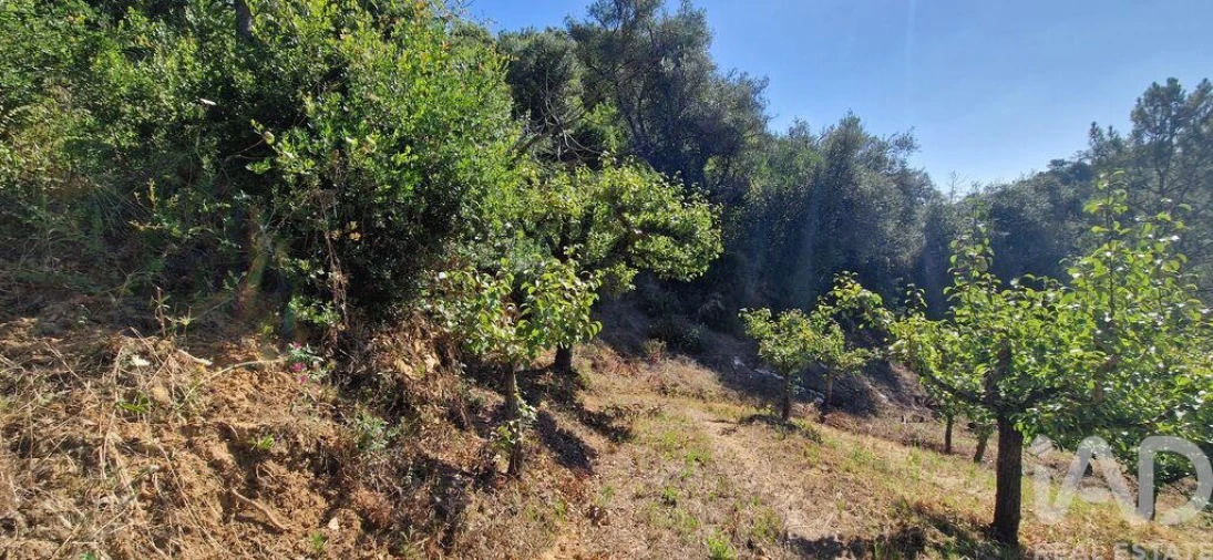 Terreno para Venda em Azueira e Sobral da Abelheira Foto 11