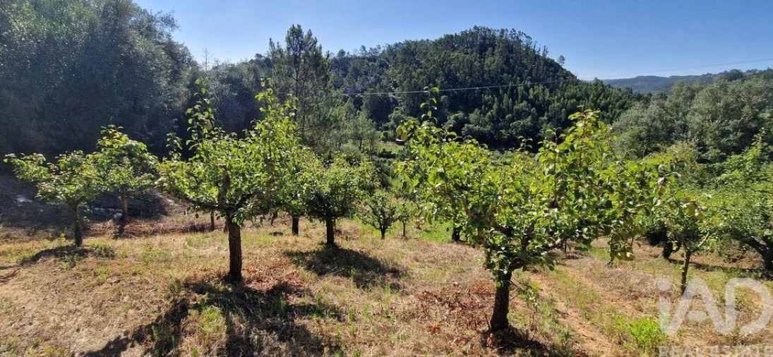 Terreno para Venda em Azueira e Sobral da Abelheira Foto 9