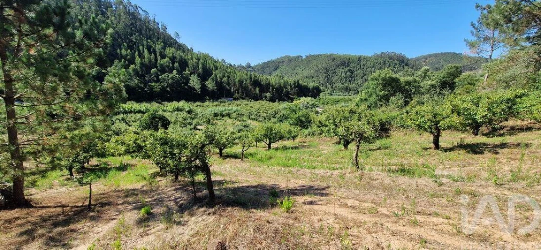 Terreno para Venda em Azueira e Sobral da Abelheira Foto 17