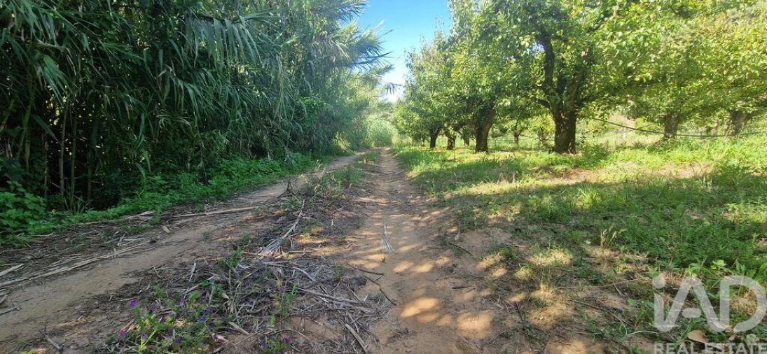 Terreno para Venda em Azueira e Sobral da Abelheira Foto 27