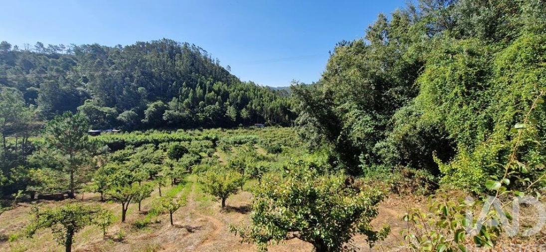 Terreno para Venda em Azueira e Sobral da Abelheira Foto 5