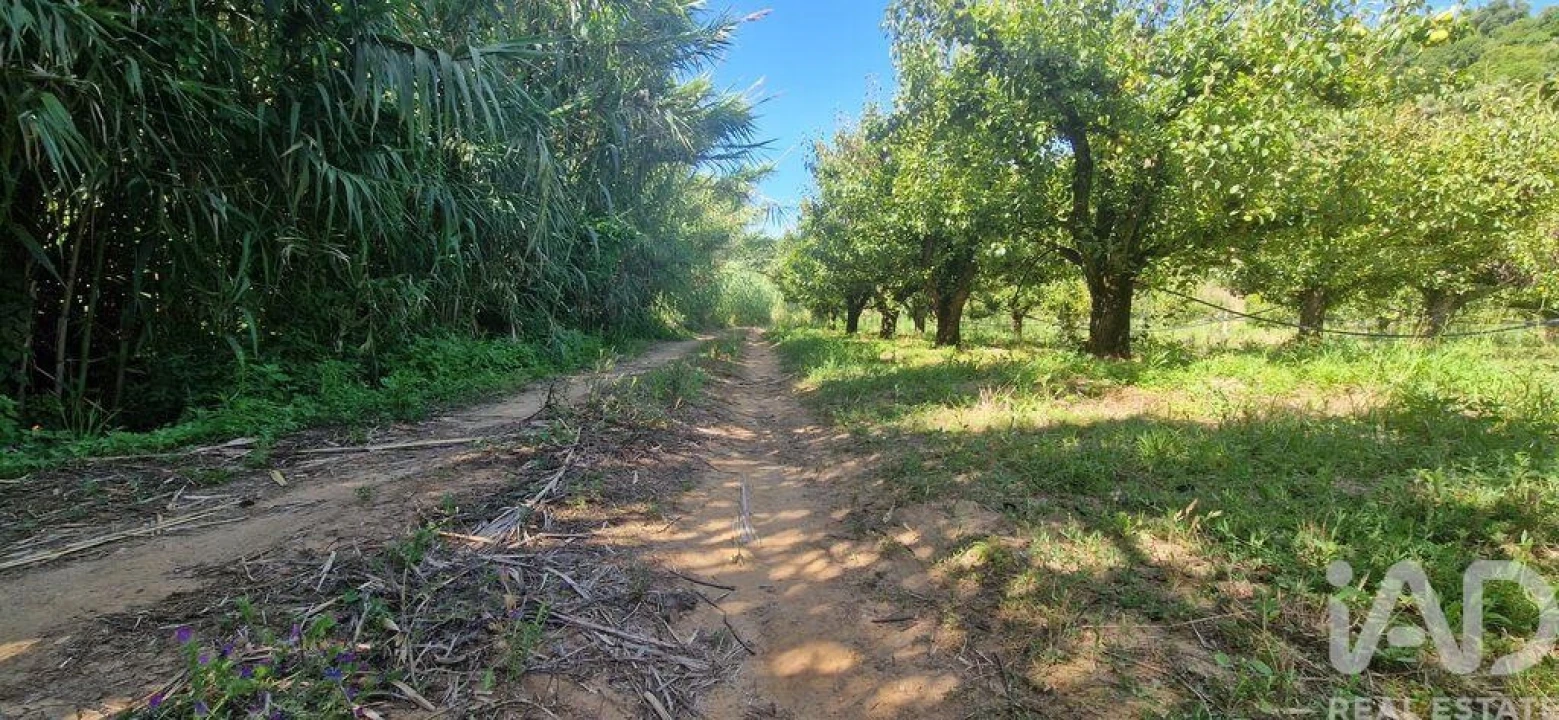 Terreno para Venda em Azueira e Sobral da Abelheira Foto 26