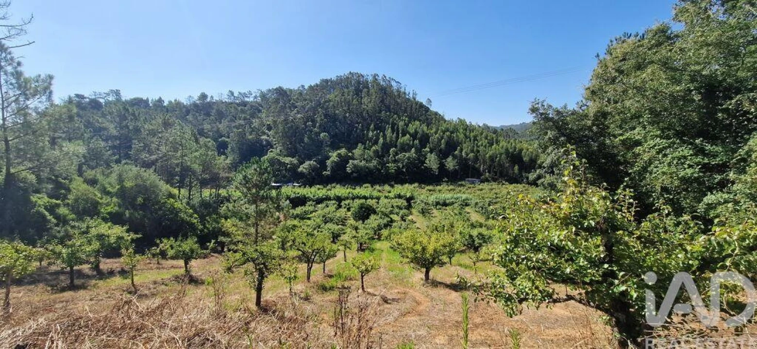Terreno para Venda em Azueira e Sobral da Abelheira Foto 4