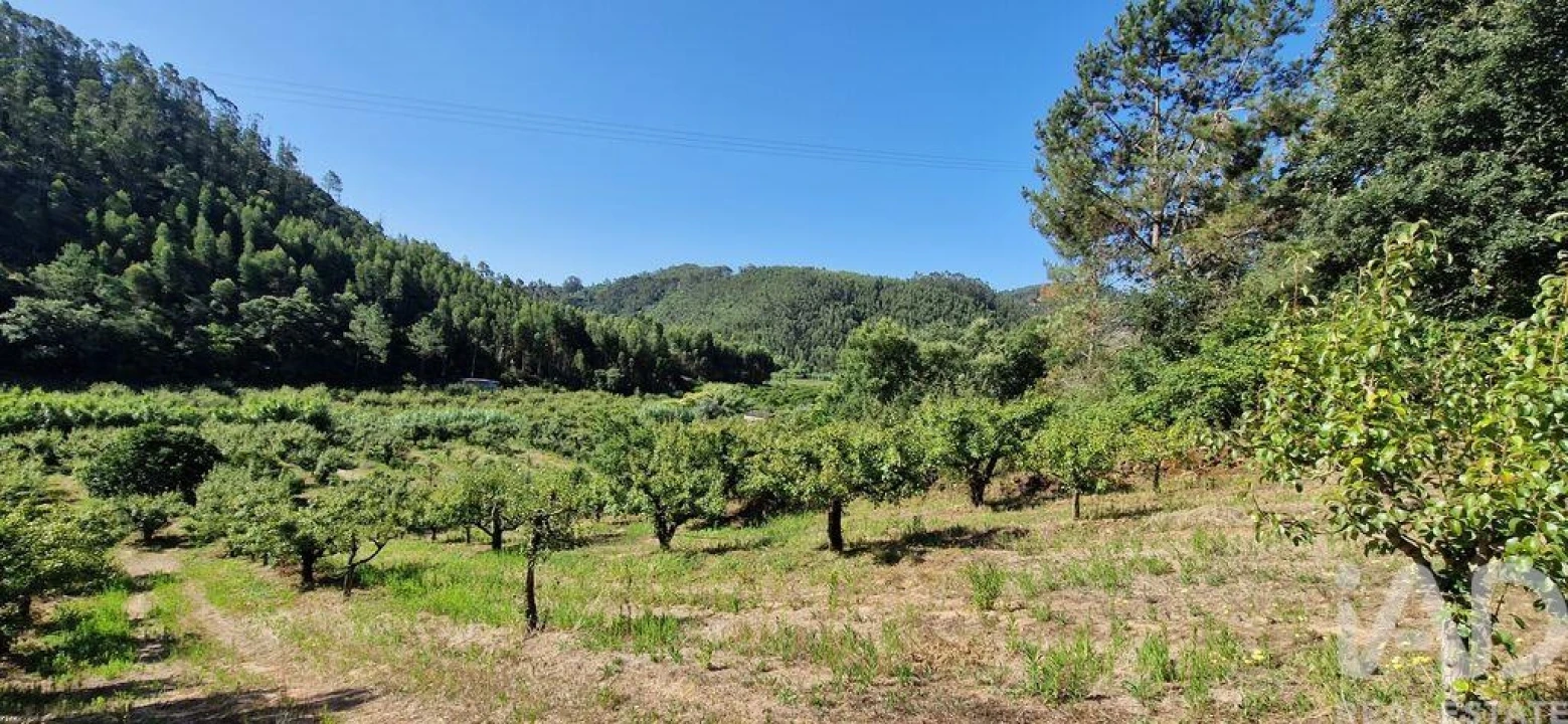 Terreno para Venda em Azueira e Sobral da Abelheira Foto 15