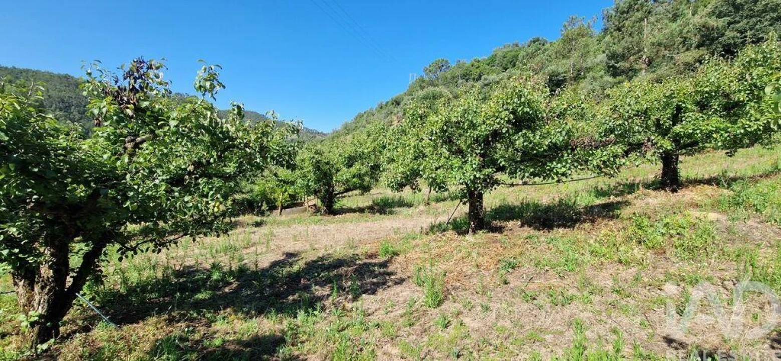 Terreno para Venda em Azueira e Sobral da Abelheira Foto 23