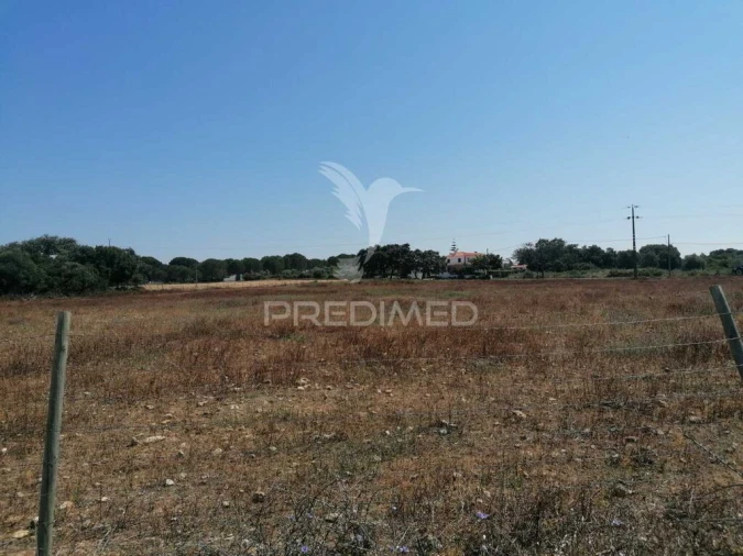 Terreno para Venda em Abitureiras Foto 4