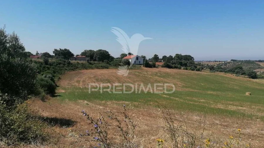 Terreno para Venda em Abitureiras