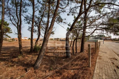 Terreno para Venda em Gafanha da Nazaré