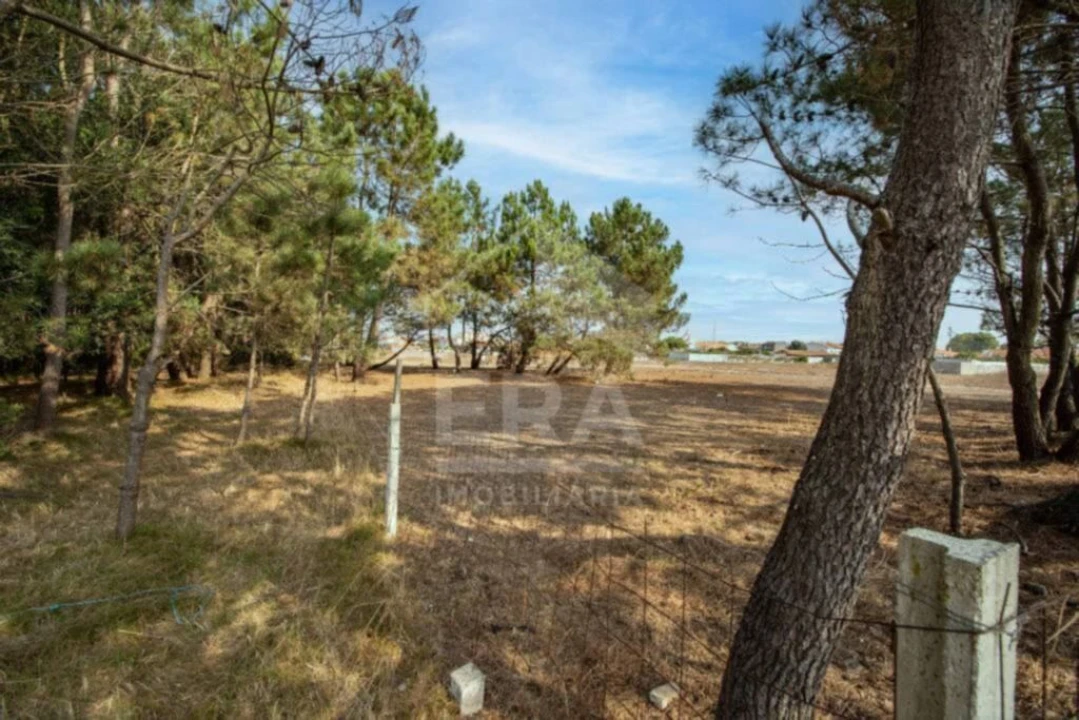 Terreno para Venda em Gafanha da Nazaré Foto 3