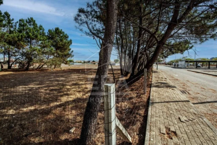 Terreno para Venda em Gafanha da Nazaré Foto 4