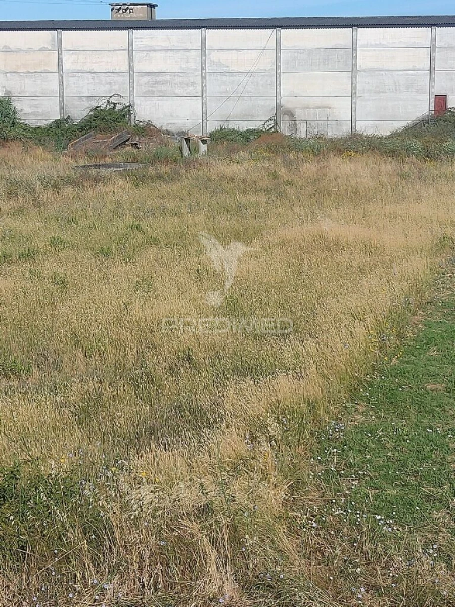 Terreno para Venda em Bugalhos Foto 3