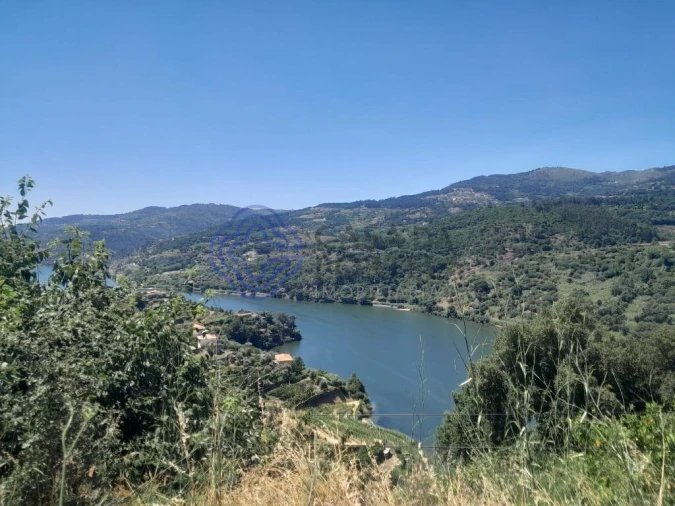 Terreno para Venda em Anreade e São Romão de Aregos Foto 13