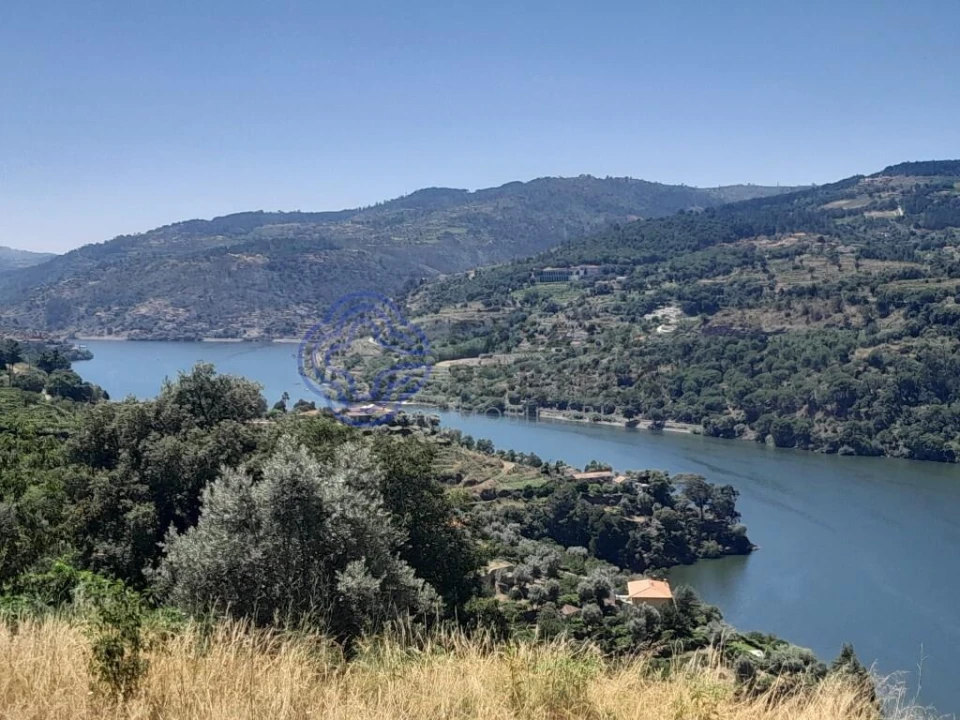 Terreno para Venda em Anreade e São Romão de Aregos Foto 1