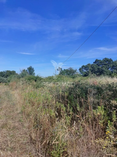 Terreno para Venda em São João Baptista e Santa Maria dos Olivais