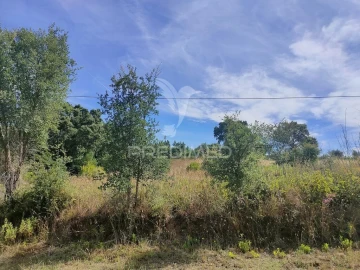Terreno para Venda em São João Baptista e Santa Maria dos Olivais