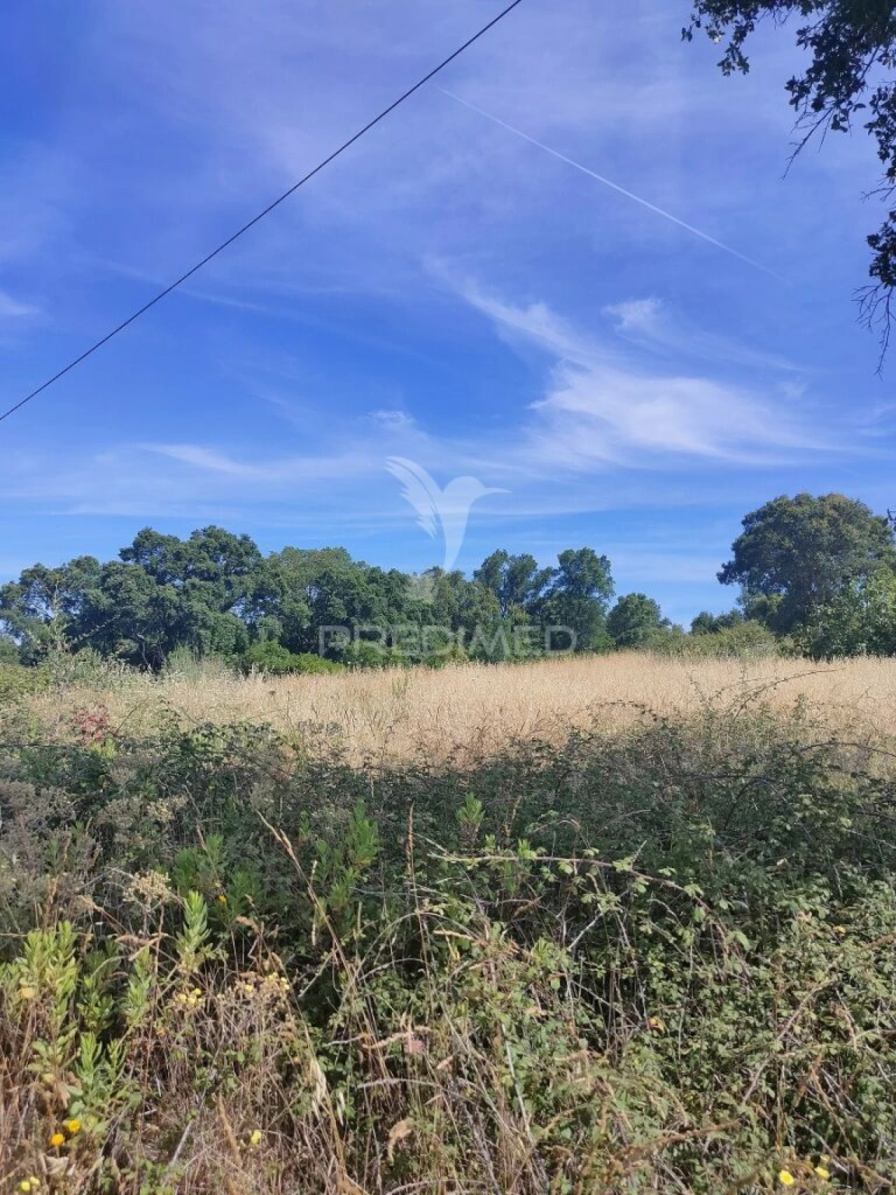 Terreno para Venda em São João Baptista e Santa Maria dos Olivais Foto 7