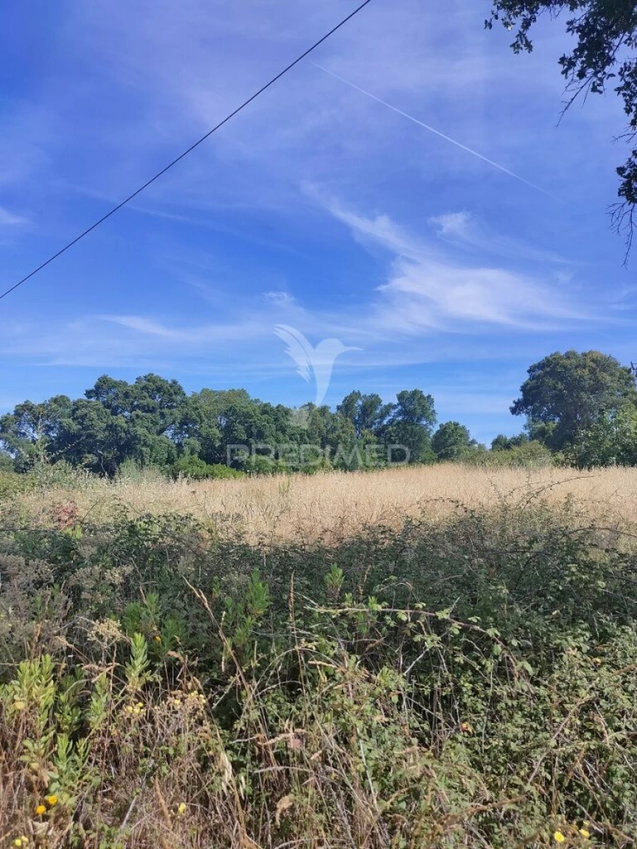 Terreno para Venda em São João Baptista e Santa Maria dos Olivais Foto 7