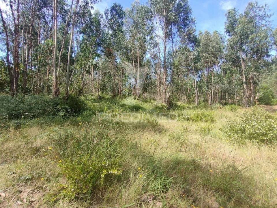 Terreno para Venda em Asseiceira Foto 6