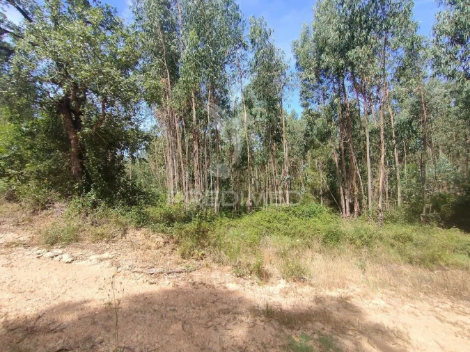 Terreno para Venda em Asseiceira Foto 2