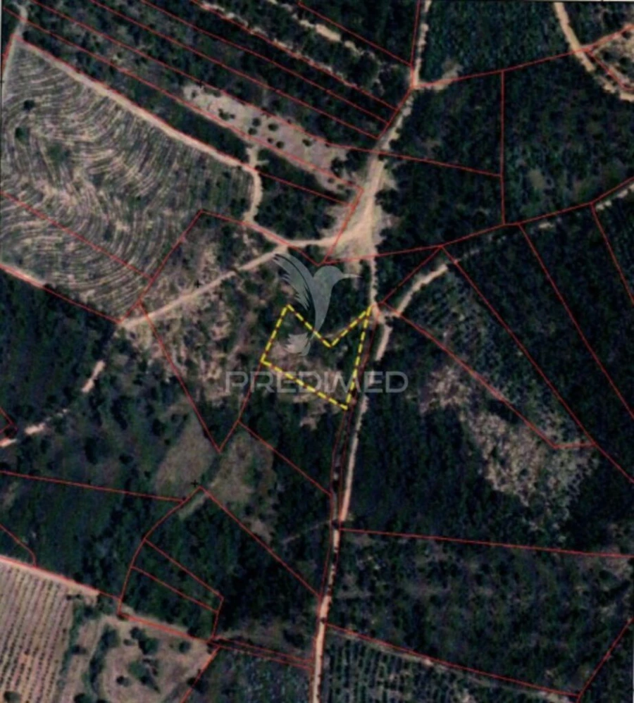 Terreno para Venda em Asseiceira Foto 8