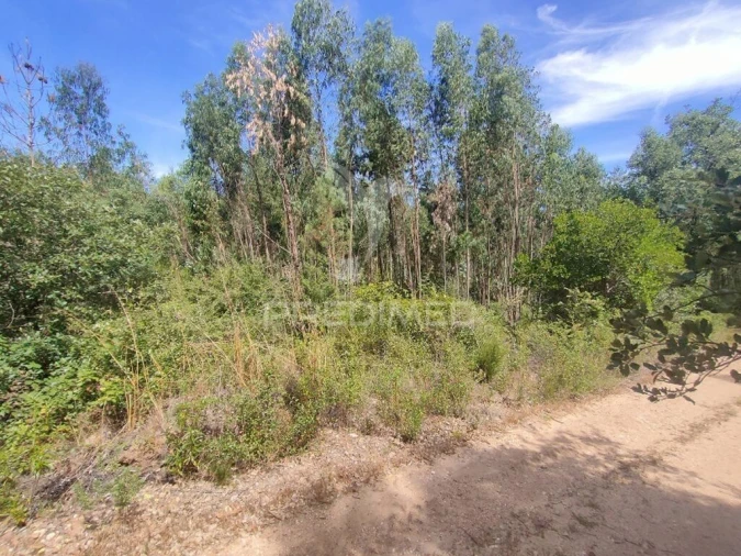 Terreno para Venda em Asseiceira Foto 4