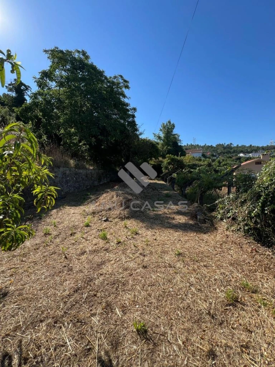 Terreno para Venda em O. Azeméis, Riba-Ul, Ul, Macinhata Seixa, Madail Foto 3
