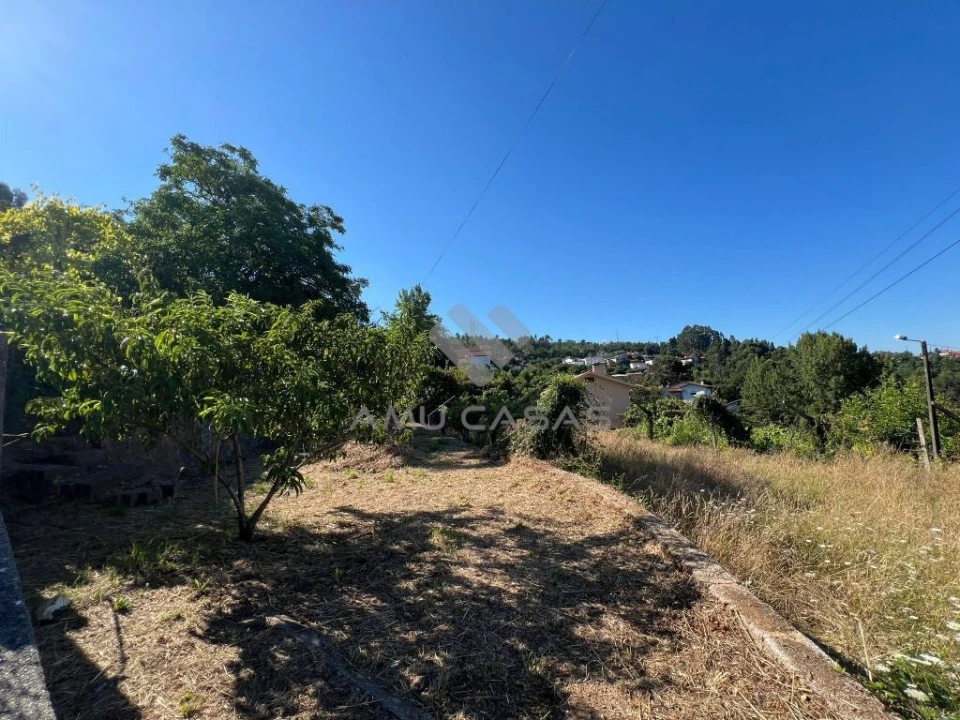 Terreno para Venda em O. Azeméis, Riba-Ul, Ul, Macinhata Seixa, Madail Foto 1