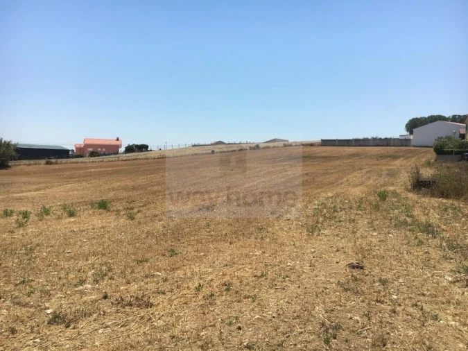 Terreno para Venda em Encarnação Foto 9