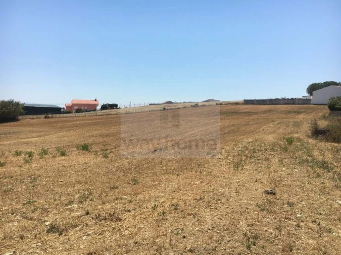 Terreno para Venda em Encarnação Foto 8