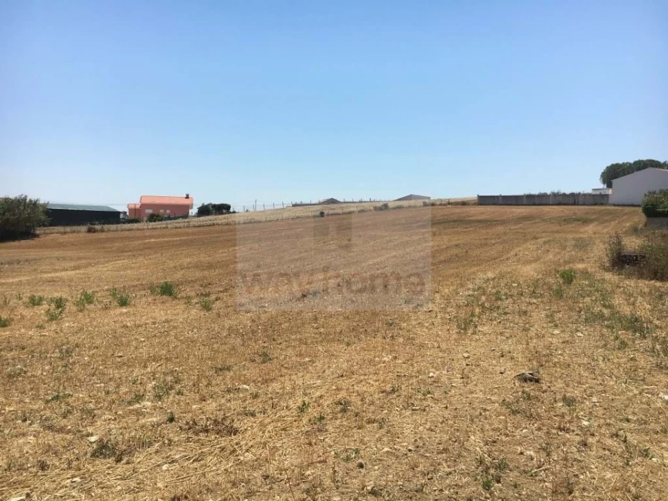 Terreno para Venda em Encarnação Foto 8