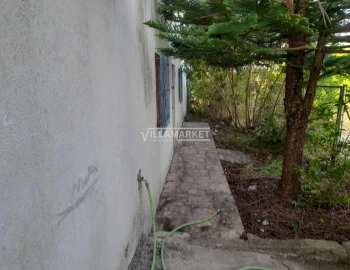 Armazém para Venda em Amiais de Baixo