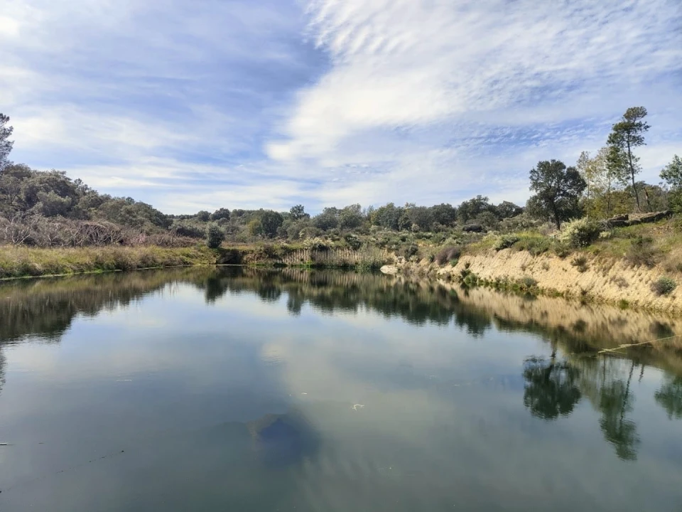 Quinta T4 para Venda em Escalos de Cima e Lousa Foto 58