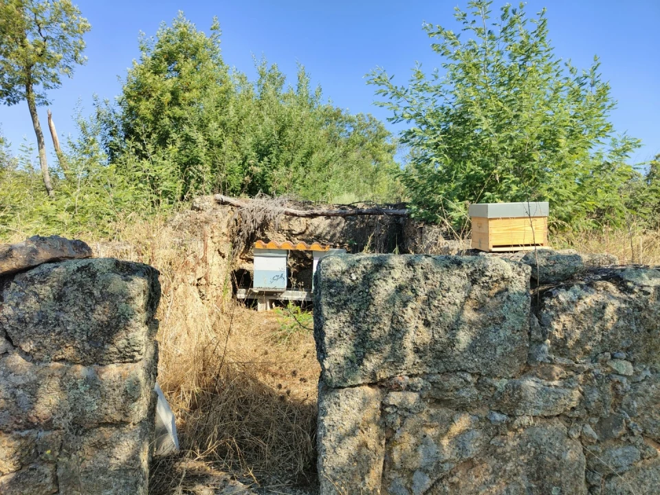 Quinta T4 para Venda em Escalos de Cima e Lousa Foto 45