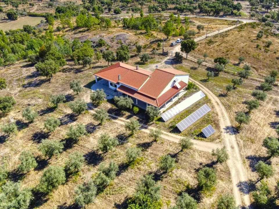 Quinta T4 para Venda em Escalos de Cima e Lousa Foto 5