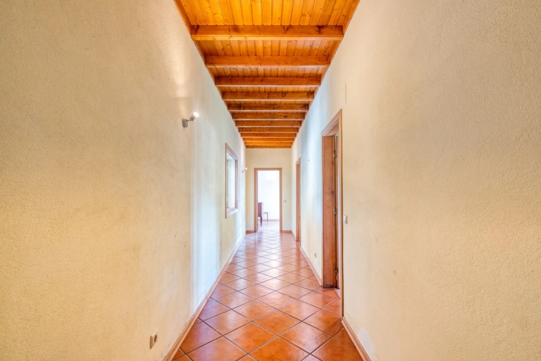 Quinta T4 para Venda em Escalos de Cima e Lousa Foto 23