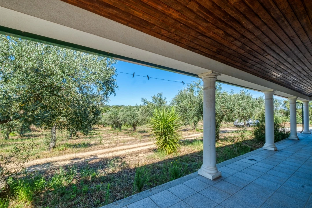 Quinta T4 para Venda em Escalos de Cima e Lousa Foto 34