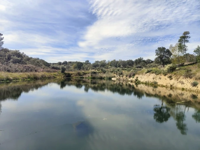 Quinta T4 para Venda em Escalos de Cima e Lousa Foto 58