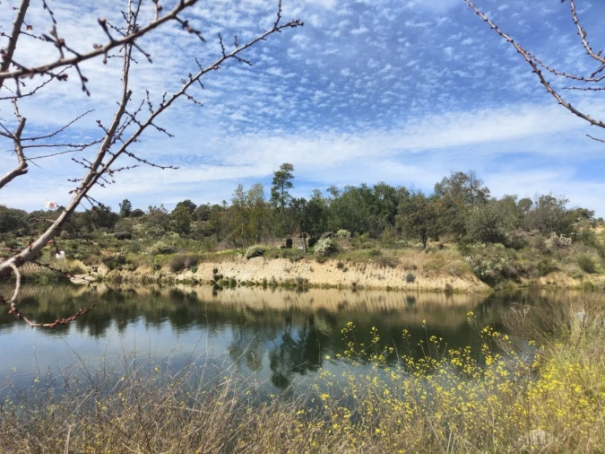 Quinta T4 para Venda em Escalos de Cima e Lousa Foto 57