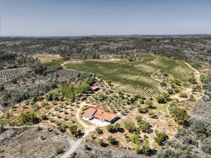 Quinta T4 para Venda em Escalos de Cima e Lousa Foto 60