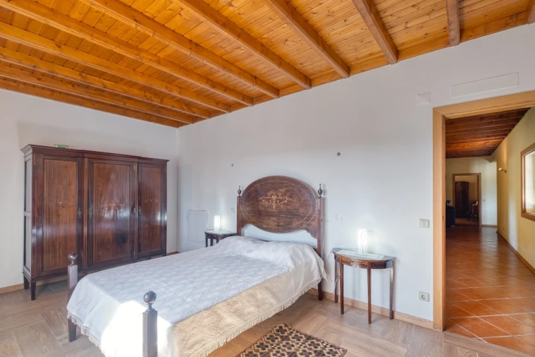 Quinta T4 para Venda em Escalos de Cima e Lousa Foto 18