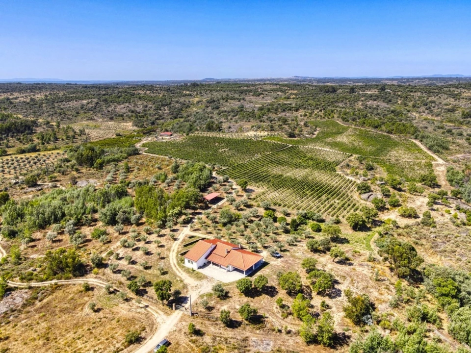 Quinta T4 para Venda em Escalos de Cima e Lousa Foto 9