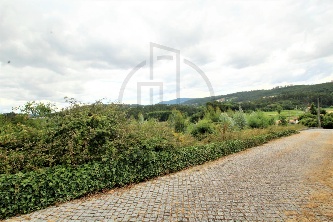 Terreno Misto para Venda em Nine Foto 7